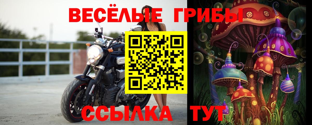 Псилоцибиновые грибы прущие грибы Мурино